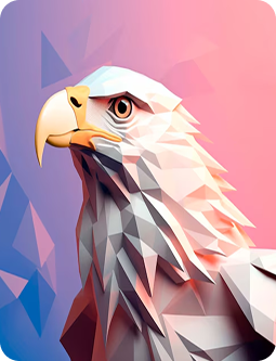 Graphic Design